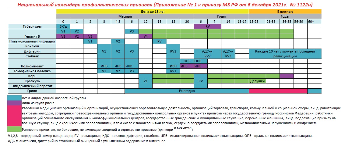 Национальный календарь прививок для всех взрослых